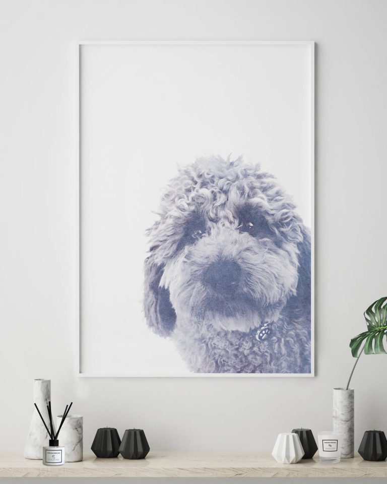 Cavoodle Watercolour Print - Chelsea Chelsea