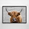 Highland Cow Print