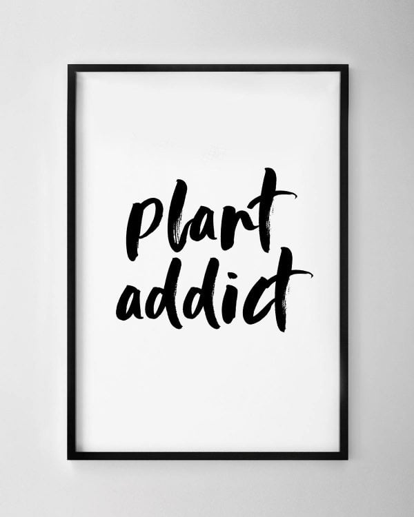Plant Addict Print