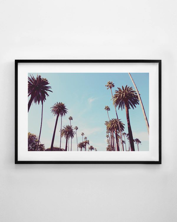 Palm Trees Print