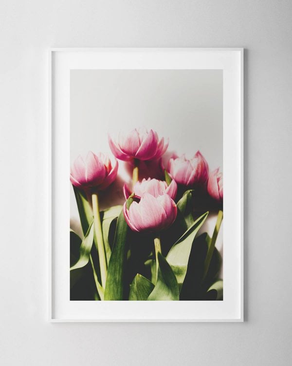 Tulips Print