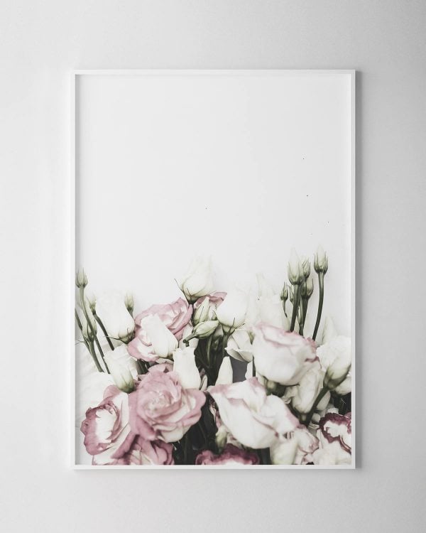 Pink Roses Print