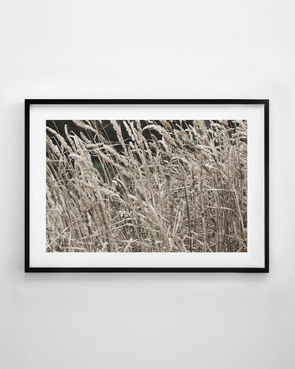 Tall Grass Print