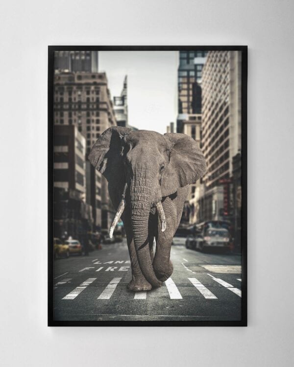 Elephant in the City Print