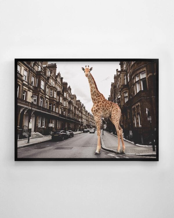 Giraffe in the City Print