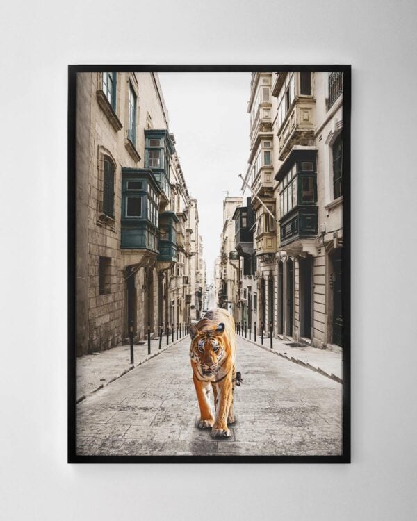 Tiger in the City Print