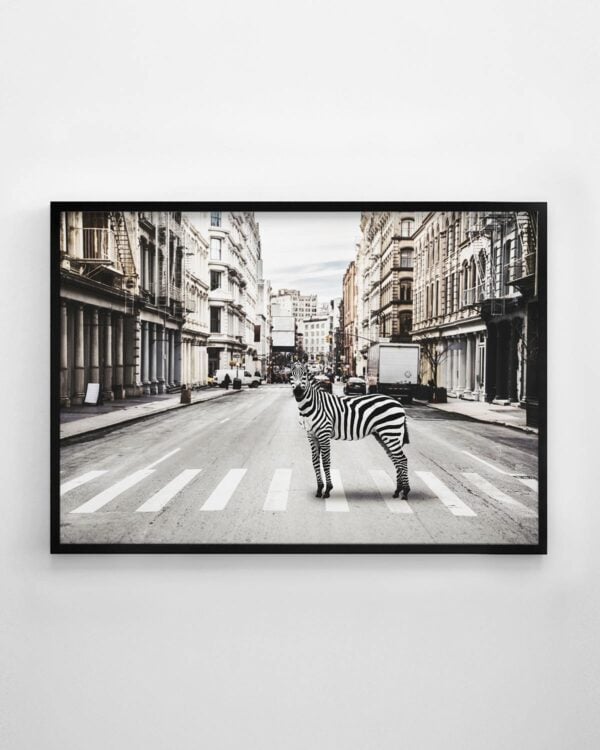 Zebra in the City Print