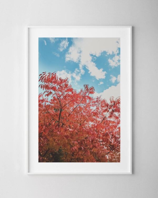 Autumn Tree Print