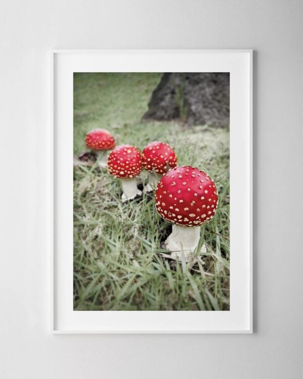 Toadstools Print