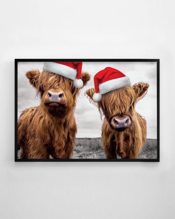 Two Highland Cows Print - Christmas Edition