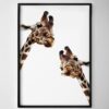 Giraffes Print