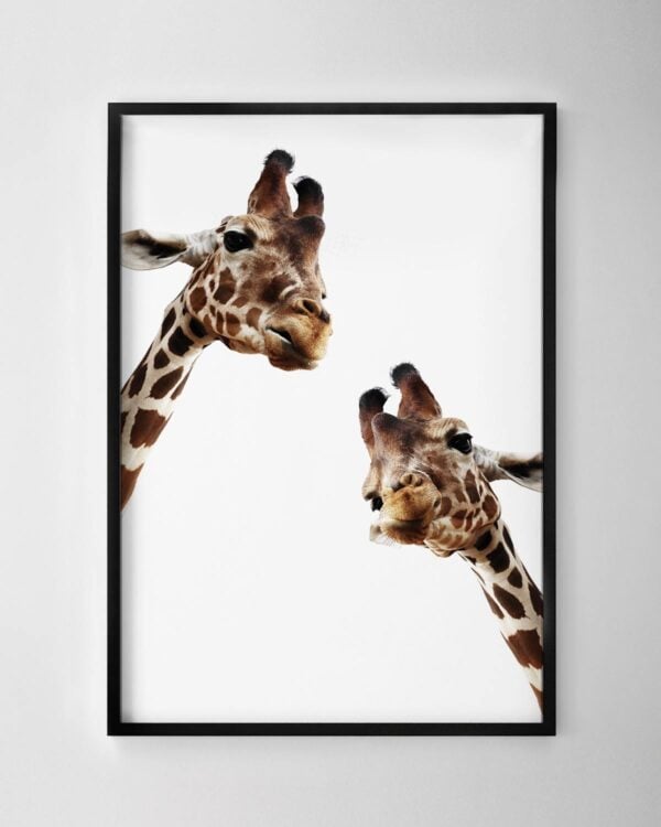 Giraffes Print