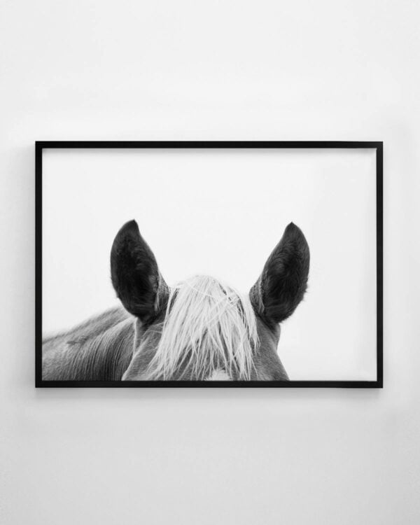 Horse Ears Print