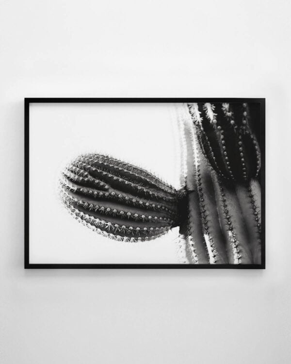 Cactus Print - Landscape