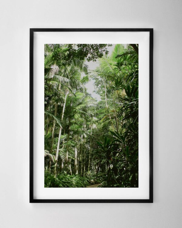 Rainforest Print