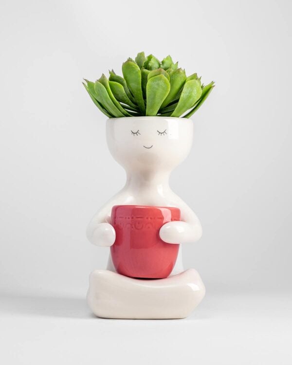 Cheeky Planter – Berry