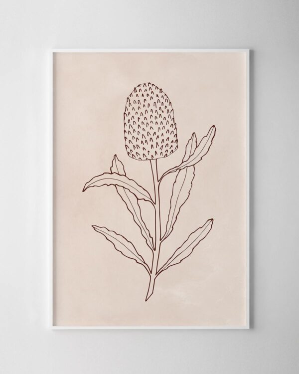 Native Illustrative Print – Banksia