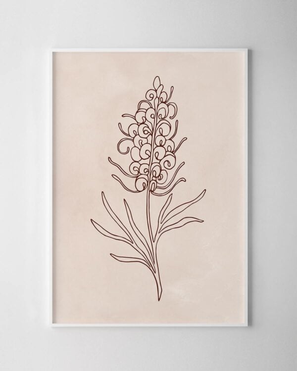 Native Illustrative Print – Grevillea