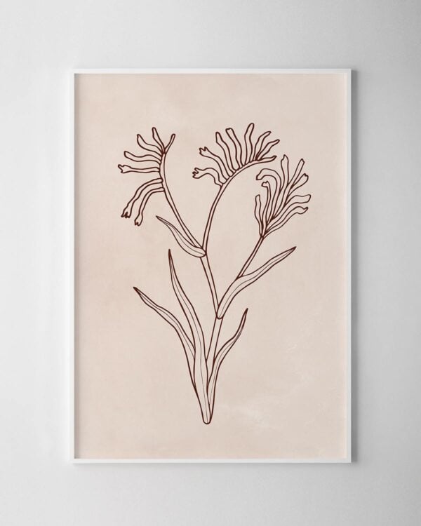 Native Illustrative Print – Kangaroo Paw