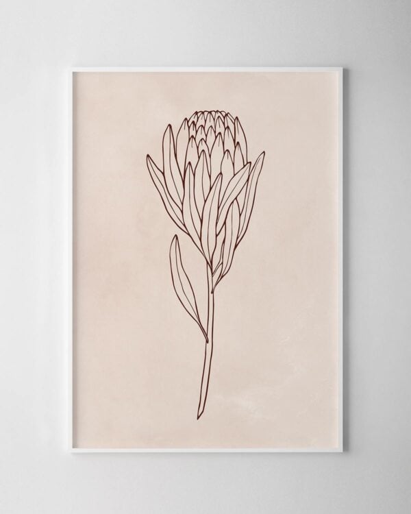 Native Illustrative Print – Protea