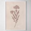 Native Illustrative Print – Wax Flower