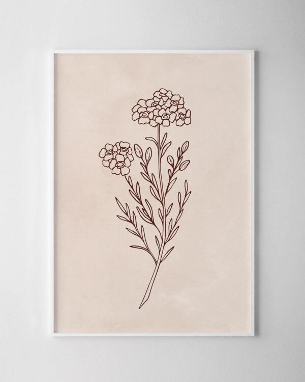 Native Illustrative Print – Wax Flower