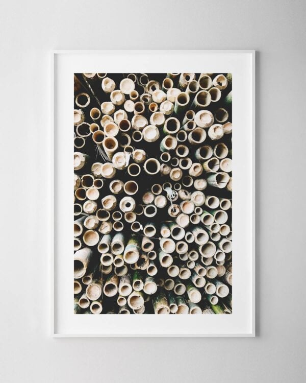 Bamboo Print