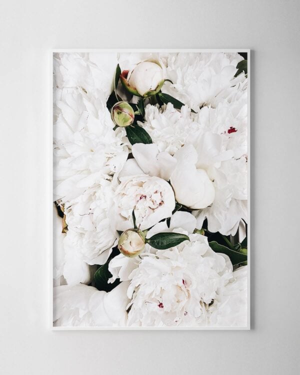 Buds & Blooms Print
