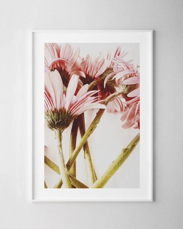 Pink Flowers Print
