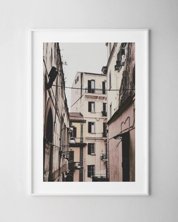 Pink Houses Print No.1