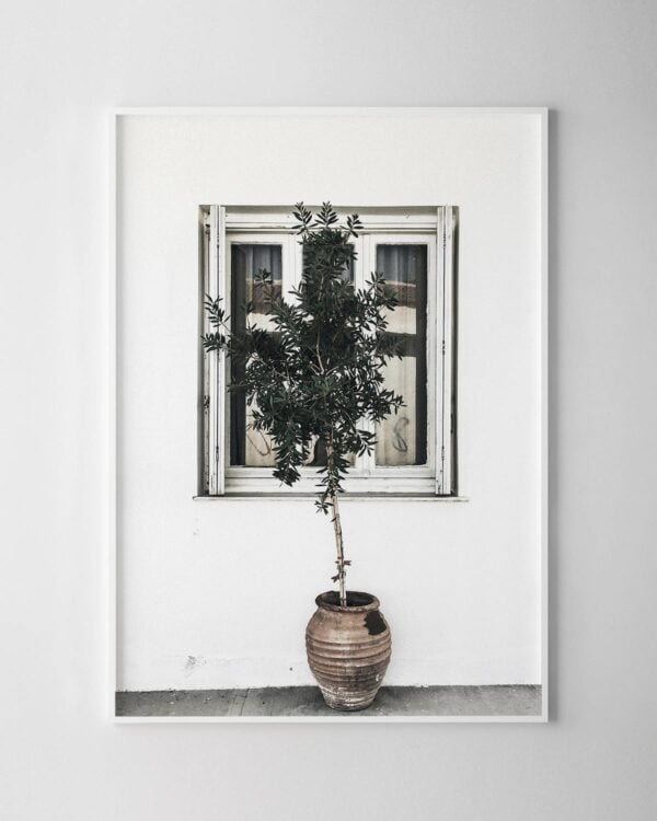 Plant & Window Door Print