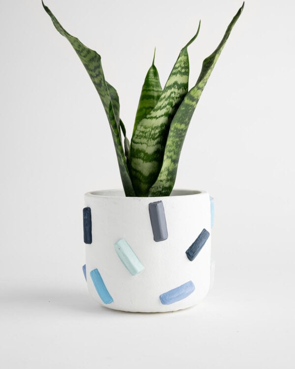 Felix Planter