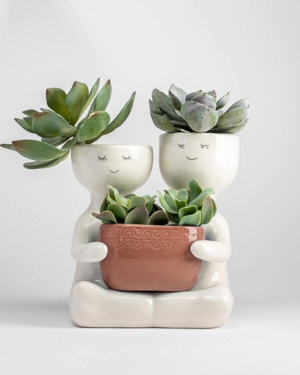Friends Planter – Rose