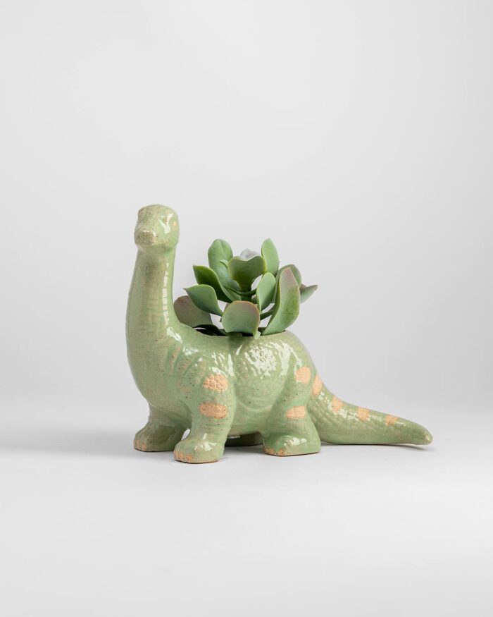 Dinosaur Planter - Chelsea Chelsea