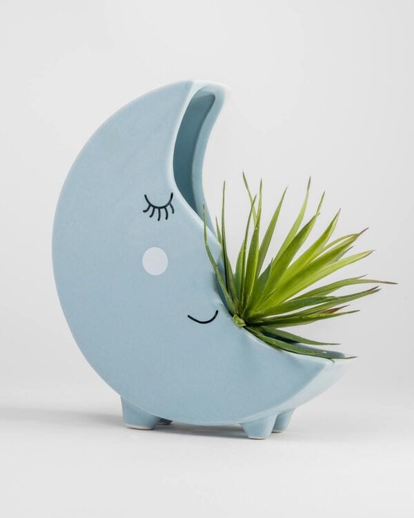 Moon Planter