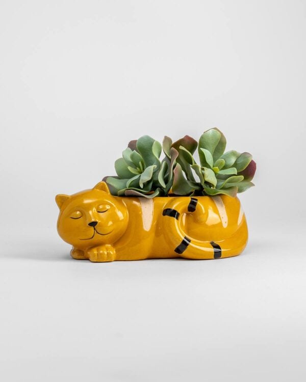 Cat Planter – Brown