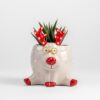 Reindeer Planter – Small