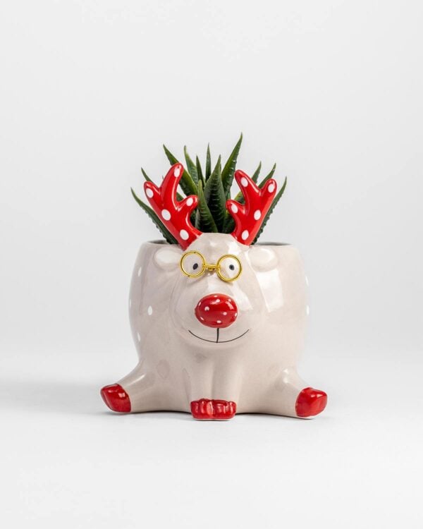 Reindeer Planter – Small