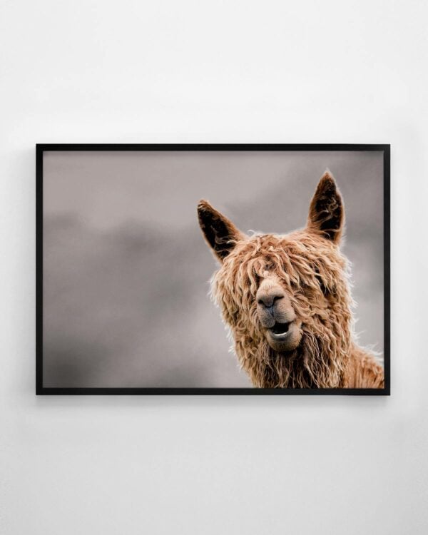 Brown Alpaca Print