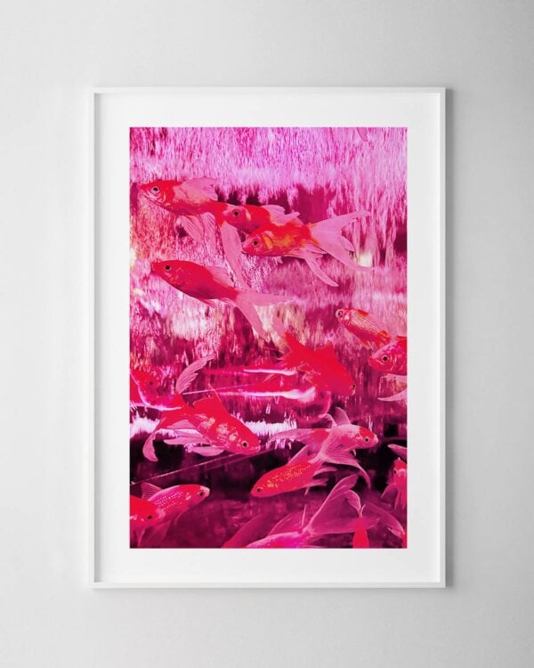 Pink Fish Print