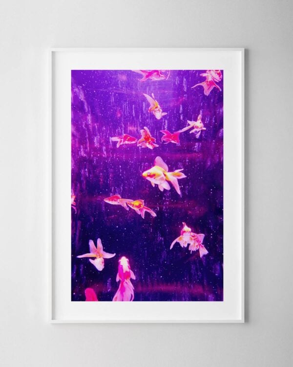 Purple Fish Print