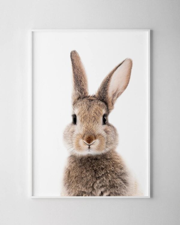 Bunny Print