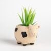 Cow Planter