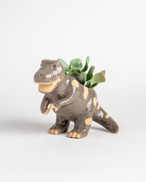 Dinosaur T-Rex Planter