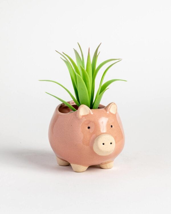 Piggy Planter