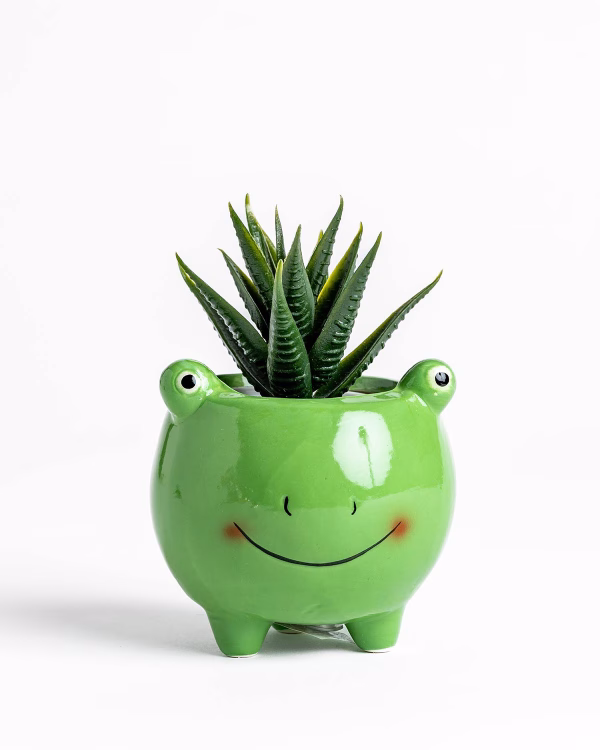 Froggy Planter