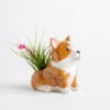Corgi Planter