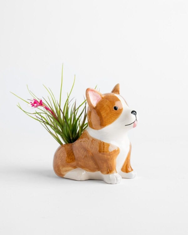 Corgi Planter