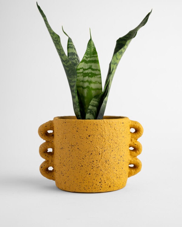 Dayze Planter – Mustard