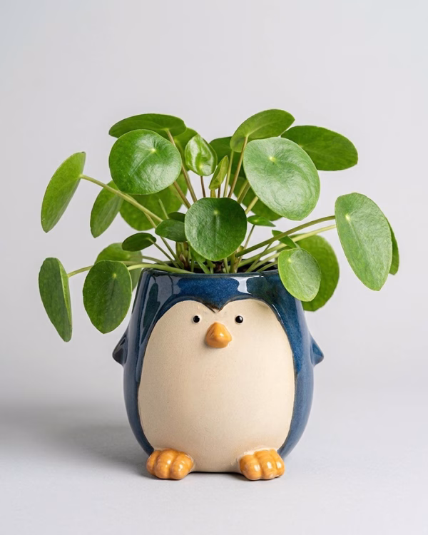 Penguin Planter